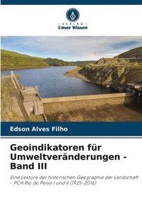 bokomslag Geoindikatoren fr Umweltvernderungen - Band III