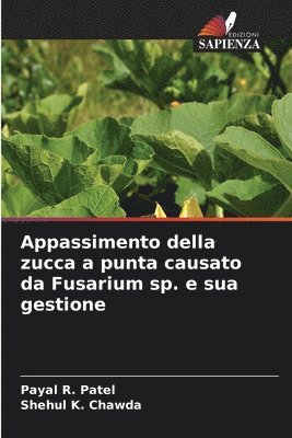 Appassimento della zucca a punta causato da Fusarium sp. e sua gestione 1