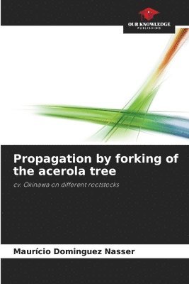 Propagation by forking of the acerola tree 1