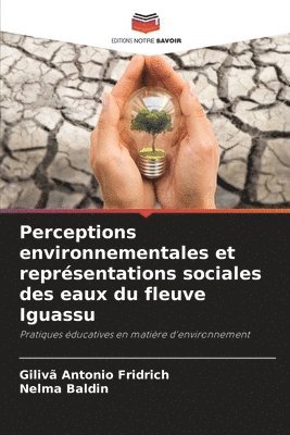 bokomslag Perceptions environnementales et reprsentations sociales des eaux du fleuve Iguassu