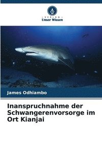 bokomslag Inanspruchnahme der Schwangerenvorsorge im Ort Kianjai