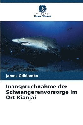 Inanspruchnahme der Schwangerenvorsorge im Ort Kianjai 1