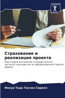 Страхование и реализация проекта