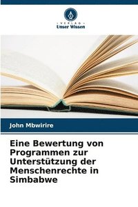 bokomslag Eine Bewertung von Programmen zur Untersttzung der Menschenrechte in Simbabwe