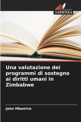 John Mbwirire - valutazione dei programmi di sostegno ai diritti umani in Zimbabwe, Häftad