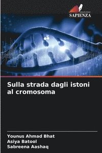 bokomslag Sulla strada dagli istoni al cromosoma