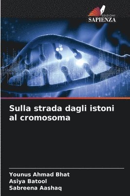 bokomslag Sulla strada dagli istoni al cromosoma