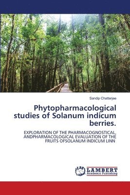 Phytopharmacological studies of Solanum indicum berries. 1