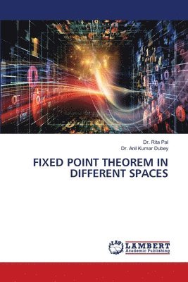 Rita Pal, Anil Kumar Dubey - Fixed Point Theorem in Different Spaces, Häftad