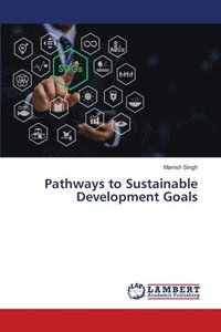 bokomslag Pathways to Sustainable Development Goals