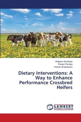 bokomslag Dietary Interventions