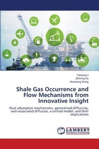 bokomslag Shale Gas Occurrence and Flow Mechanisms from Innovative Insight