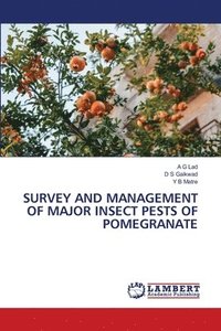 bokomslag Survey and Management of Major Insect Pests of Pomegranate