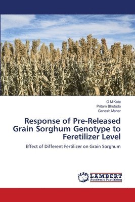 Response of Pre-Released Grain Sorghum Genotype to Feretilizer Level 1