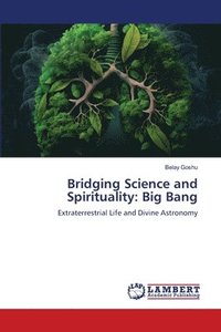 bokomslag Bridging Science and Spirituality