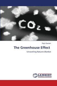 bokomslag The Greenhouse Effect