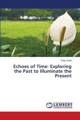 Echoes of Time 1