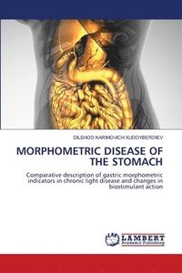 bokomslag Morphometric Disease of the Stomach