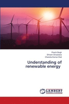 bokomslag Understanding of renewable energy