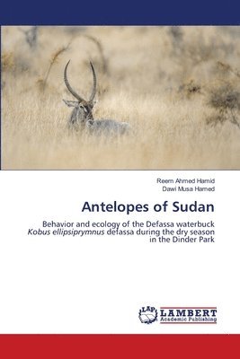 Antelopes of Sudan