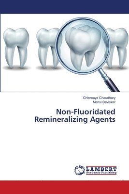 bokomslag Non-Fluoridated Remineralizing Agents