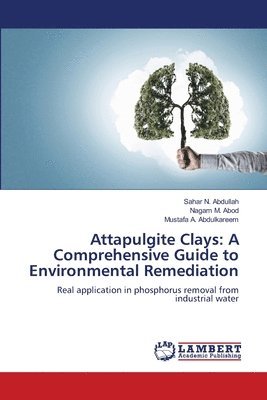 Attapulgite Clays 1