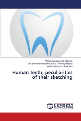 Human teeth, peculiarities of their sketching 1