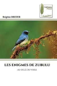 bokomslag Les Enigmes de Zubulu