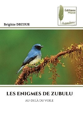 Les Enigmes de Zubulu 1