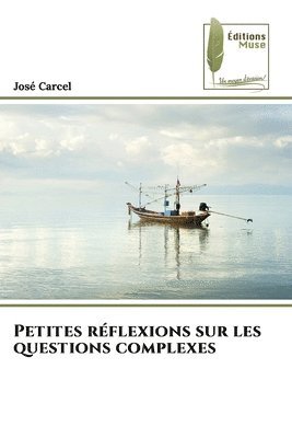 bokomslag Petites rflexions sur les questions complexes