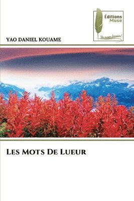 bokomslag Les Mots De Lueur