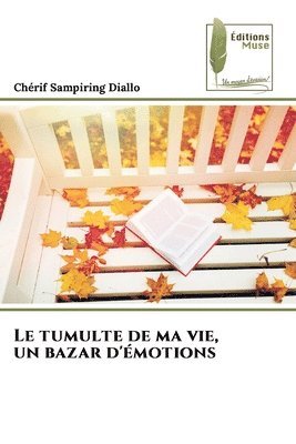 tumulte de ma vie, un bazar d'émotions