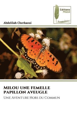 Milou une femelle papillon aveugle 1