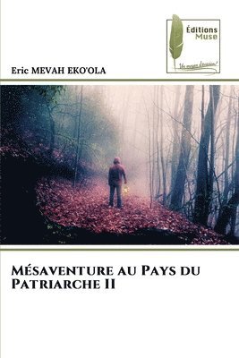 bokomslag Mésaventure au Pays du Patriarche II