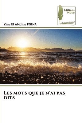 bokomslag Les mots que je n'ai pas dits