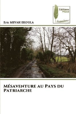 bokomslag Mésaventure au Pays du Patriarche