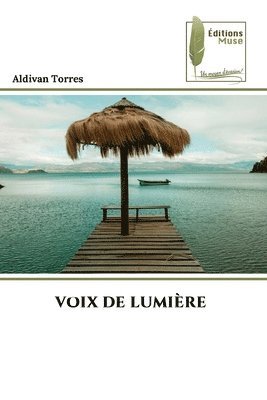 bokomslag Voix de Lumière