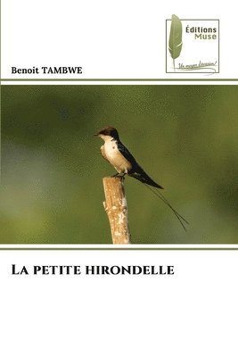 petite hirondelle 1