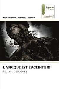 bokomslag L'Afrique est enceinte !!!