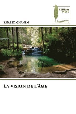 bokomslag vision de l'âme