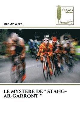 bokomslag Mystere de " Stang-Ar-Garront "