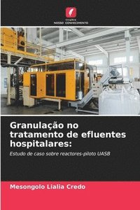 bokomslag Granulação no tratamento de efluentes hospitalares