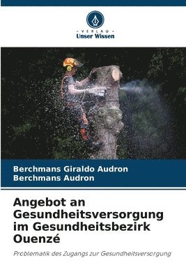 bokomslag Angebot an Gesundheitsversorgung im Gesundheitsbezirk Ouenzé