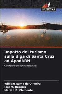 bokomslag Impatto del turismo sulla diga di Santa Cruz ad Apodi/RN