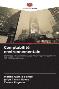 bokomslag Comptabilité environnementale