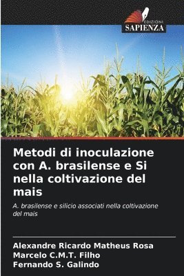 Alexandre Ricardo Matheus Rosa, Marcelo C M T Filho, Fernando S Galindo, Marcelo C. M. T. Filho, Marcelo C.M.T. Filho, Fernando S. Galindo - Metodi di inoculazione con A. brasilense e Si nella coltivazione del mais, Häftad