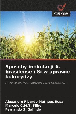 bokomslag Sposoby inokulacji A. brasilense i Si w uprawie kukurydzy