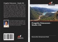 bokomslag Progetto Polavaram - Studio VIA