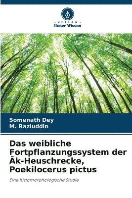 weibliche Fortpflanzungssystem der Āk-Heuschrecke, Poekilocerus pictus