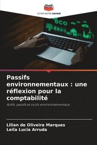 bokomslag Passifs environnementaux: une réflexion pour la comptabilité